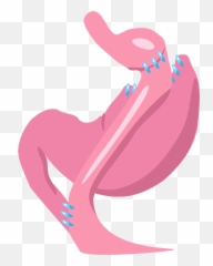 Gastric Bypass Surgery - Emoji
