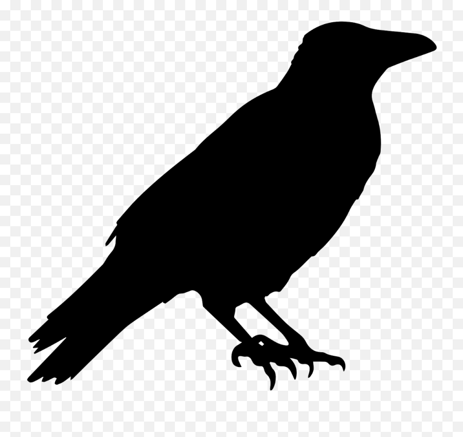 Raven Gothic Silhouette - Crow Clipart Black And White Emoji,Raven Emoji