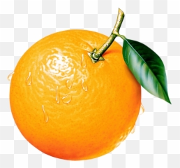 Fruit Clipart Orange - Emoji