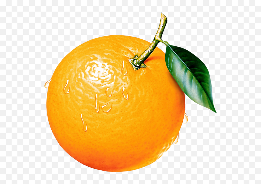 Fruit Clipart Orange Fruit Orange - Orange Clipart Emoji,Candy Sour Face Lemon Pig Emoji