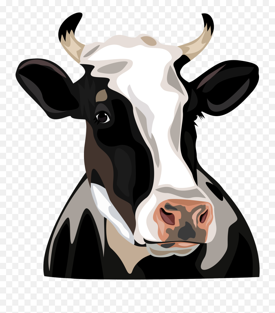 Cheese Head Clipart - Vector Cow Head Png Emoji,Cheesehead Emoji