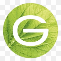 Garnier in Leaf Logo transparent PNG - StickPNG Emoji