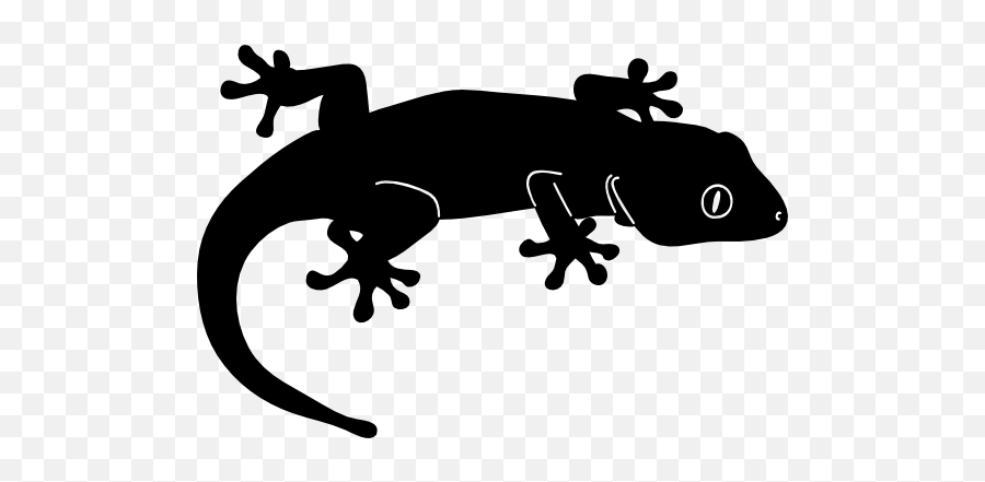 Cute Simple Lizard Gecko Sticker - Gecko Emoji,Lizard Emoji