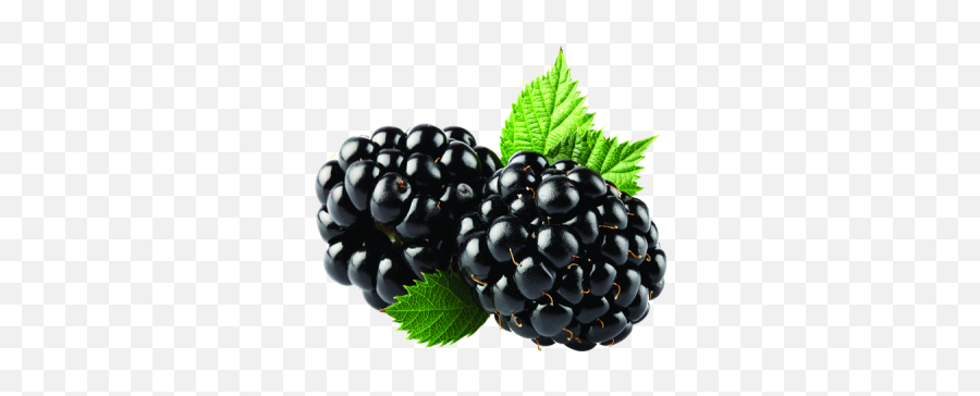 Download Free Png Blackberry Png - Blackberry Png Emoji,Raspberry Emoji Iphone