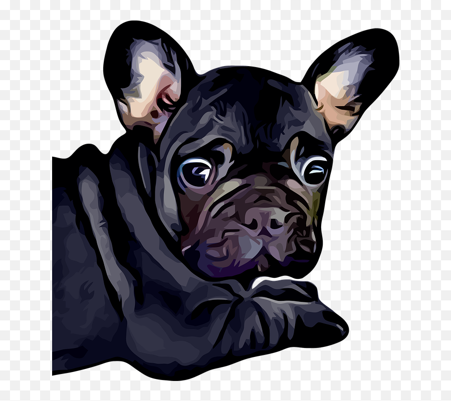 French Bulldog Dog Puppy - Black Puppy Baby Dog Emoji,French Bulldog Emoji