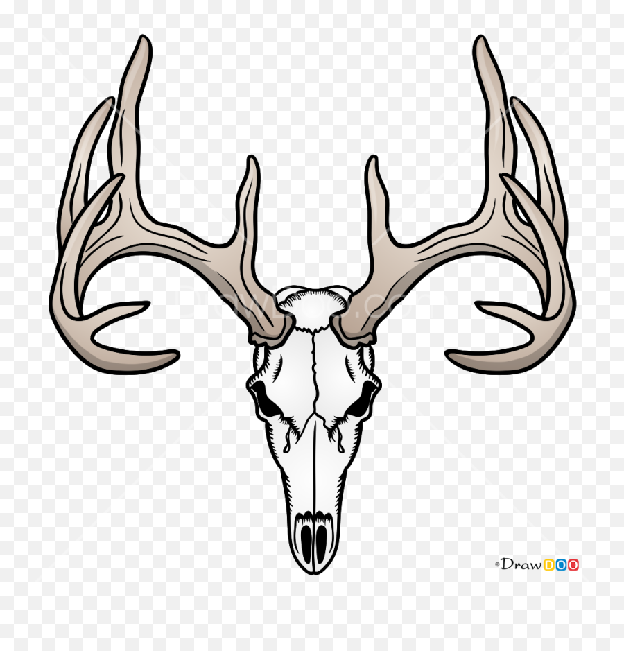 How To Draw Deer Skull Deer - Draw A Deer Skull Emoji,Buck Deer Emoji