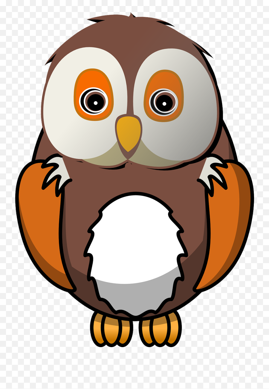 Bird Owl Animal Cute Nature - Owl Png Clipart Emoji,How To Get Drake Owl Emoji