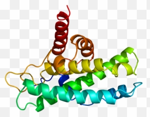 Dna Clipart Wikipedia Dna Wikipedia Transparent Free For - Retinoblastoma Proteina Emoji,Nutting Emoji