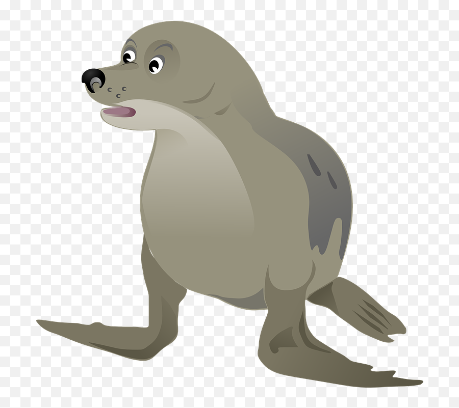 Seadog Seal Grey - Sea Dog Png Emoji,Sea Lion Emoji