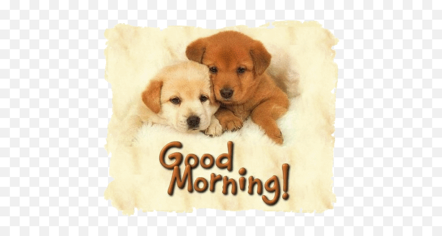 Good Morning Puppies Pictures Photos And Images For - Good Morning With Puppies Emoji,Doge Emoticon