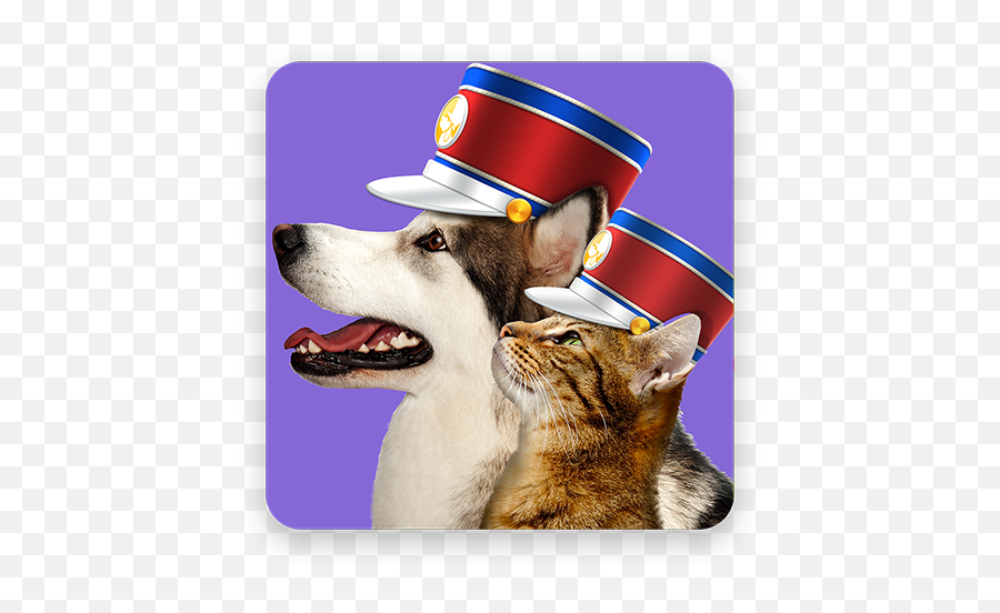 Pet Parade U2013 Apps Bei Google Play - Dog Yawns Emoji,Sombrero Hat Emoji