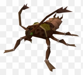 Free Cockroach Pictures Images - Cockroach Runescape Emoji,Cockroach Emoji
