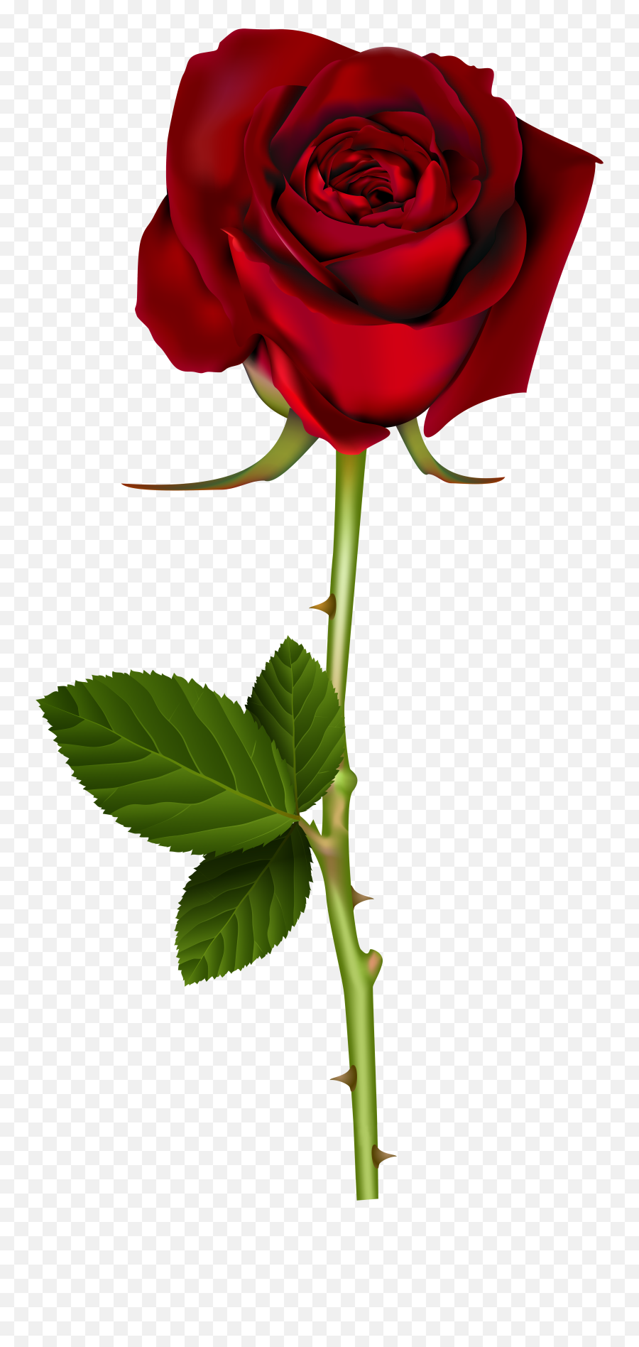 Rose Red Clip Art - Transparent Background Red Rose Png Emoji,Rose Emoji Transparent