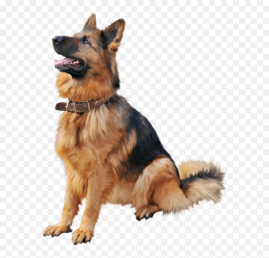 German Shepherd Png - German Shepherd Dog Png Emoji,Pit Bull Emoji