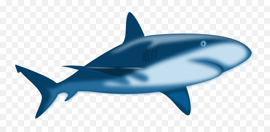Blue Shark Vector Art Image - Baby Whale Shark Clipart Emoji,Fish And Horse Emoji