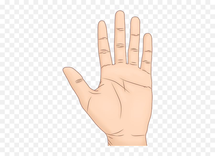 Hand Palma Palm Of The - Sign Language Emoji,Emoticons Giving The Finger
