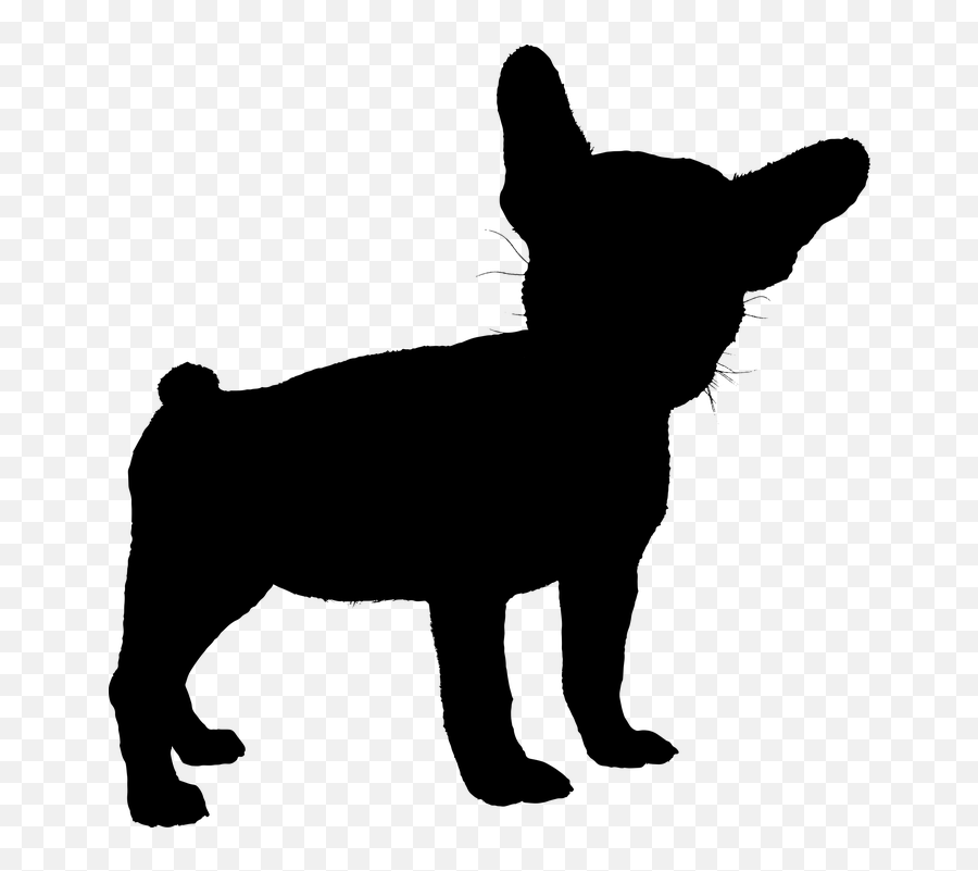 Dog French Bulldog - Transparent French Bulldog Silhouette Png Emoji,French Bulldog Emoji