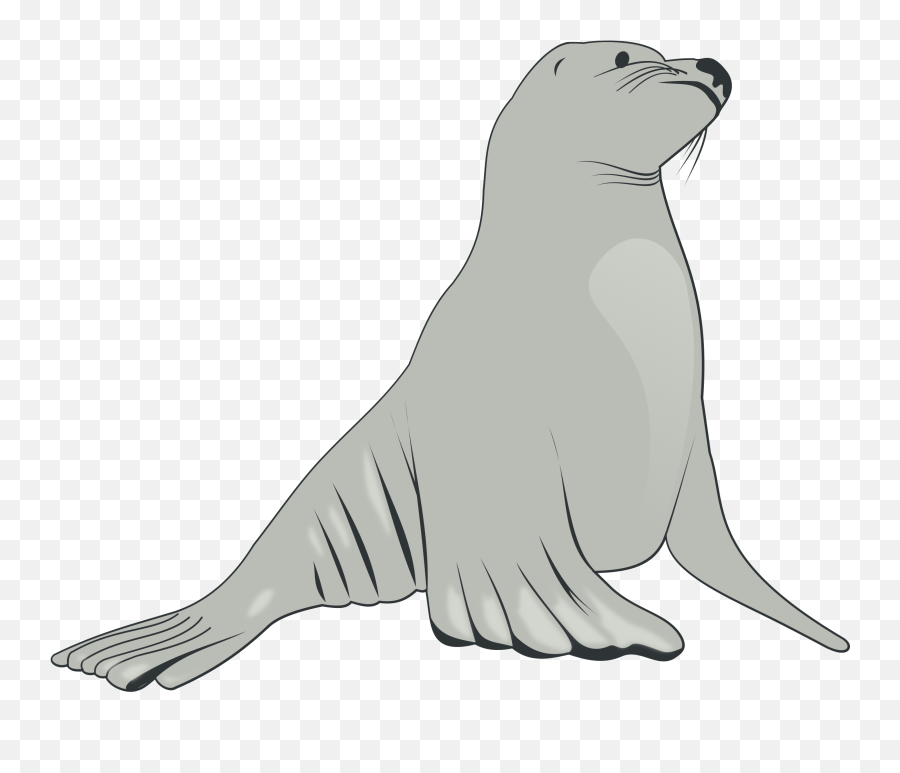 Transparent Sea Lion Clipart - Sealion Clipart Emoji,Sea Lion Emoji