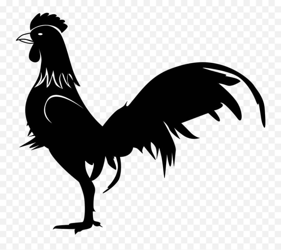 Hd Rooster Pictures Images For Free - Gallo Black And White Emoji,The Emoji Movie