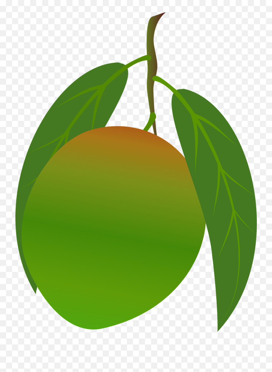 Mango Fruit Food Free Pictures Free Photos - Mangoes Ugadi Transparent Png Emoji,Dessert Emoji