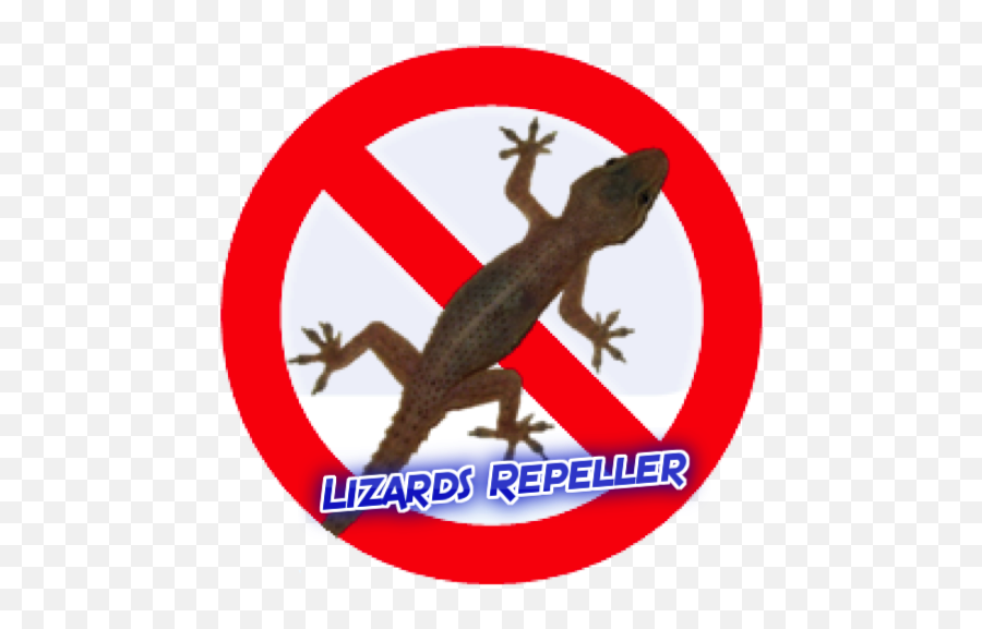 Anti Lizard Prank - House Gecko Emoji,Lizard Emoji