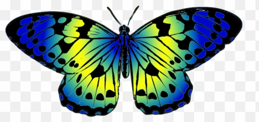 Butterfly Clip Art 3 - Yellow And Blue Butterflies Emoji,Butterfly Emoji Android
