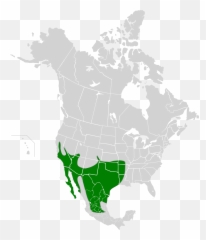 Geococcyx Californianus Map - Chihuahuan Desert On World Emoji