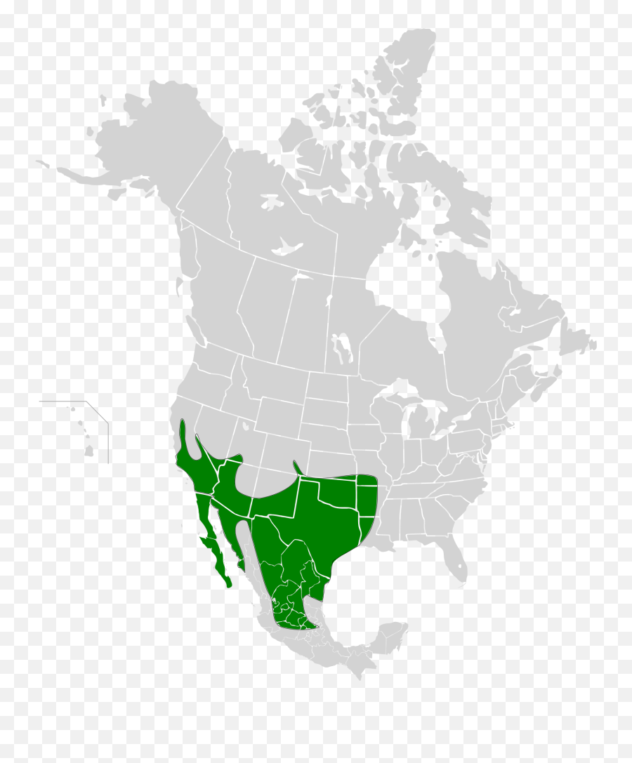 Geococcyx Californianus Map - Chihuahuan Desert On World Map Emoji,Road Runner Emoji