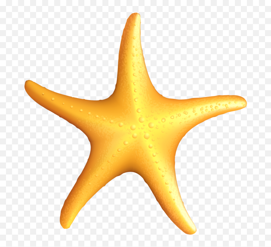 Clipart Images Of Starfish - Clipart Transparent Background Starfish Emoji,Starfish Emoji
