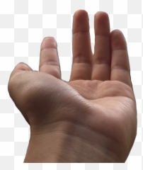 The Newest palm hand Stickers on PicsArt - Hand Emoji