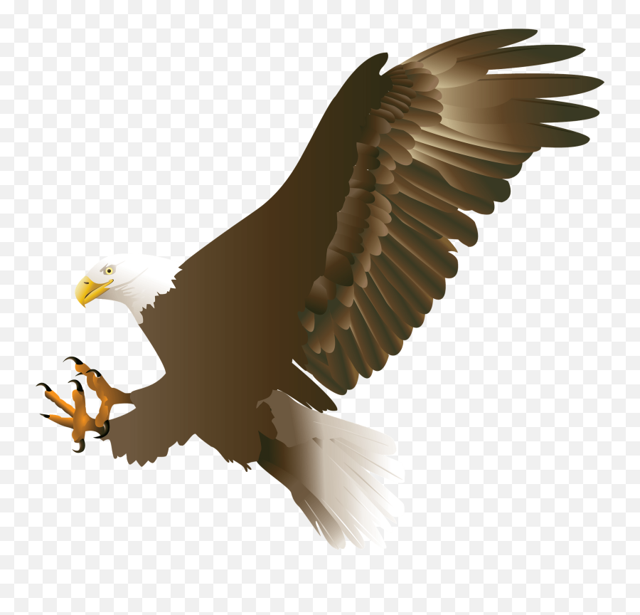 Bald Eagle In Flight Clipart - Philippine Eagle Png Emoji,Eagle Emoji
