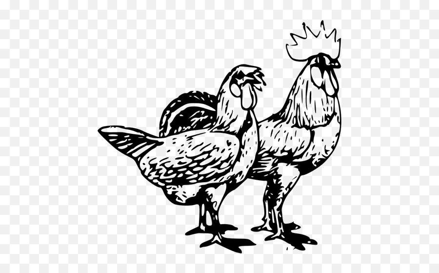Pair Of Chickens - Gallo Y Gallina Para Colorear Emoji,Scissors Emoji