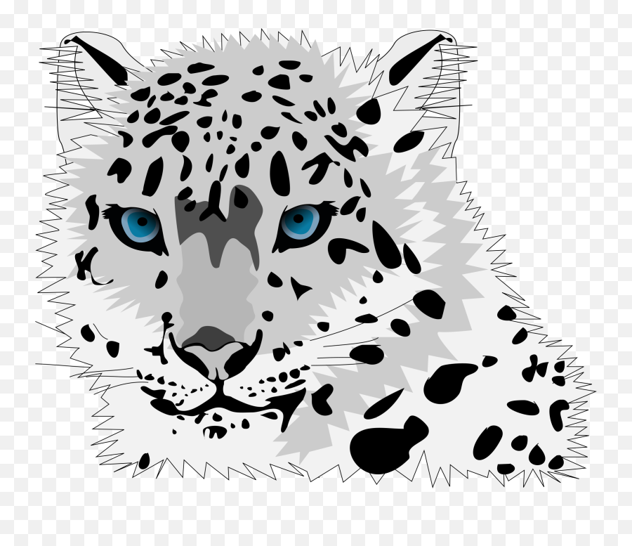 Snow Leopard Vector Graphic Image - Snow Leopard Clip Art Emoji,Costa Rica Emoji