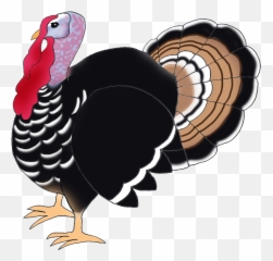 14678 Turkey Free Clipart - Bird Hd Png Emoji