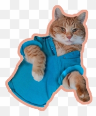 Keyboard Cat - Domestic Cat Emoji,Cat Emoji Keyboard