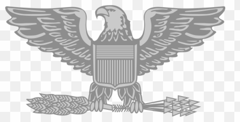 Colonel Insignia - Rank Air Force Emoji