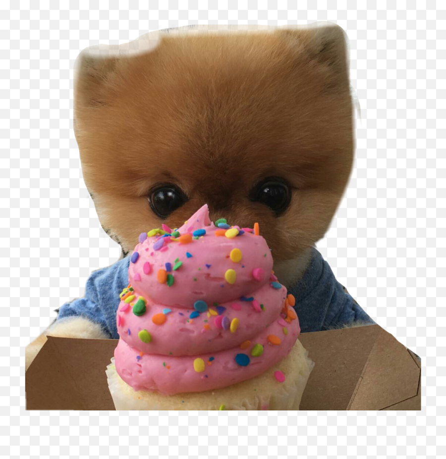 El Png De Jiffpom Esta Un Poco Mal Recortado Pero Le - Stuffed Toy Emoji,Jiffpom Emoji