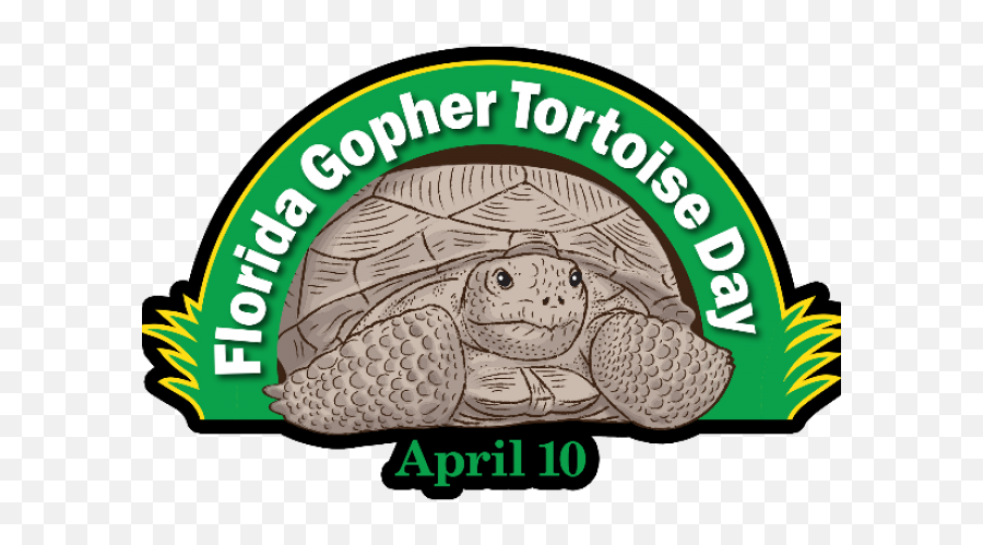Turtoise Clipart Gopher Tortoise - Clip Art Emoji,Gopher Emoji