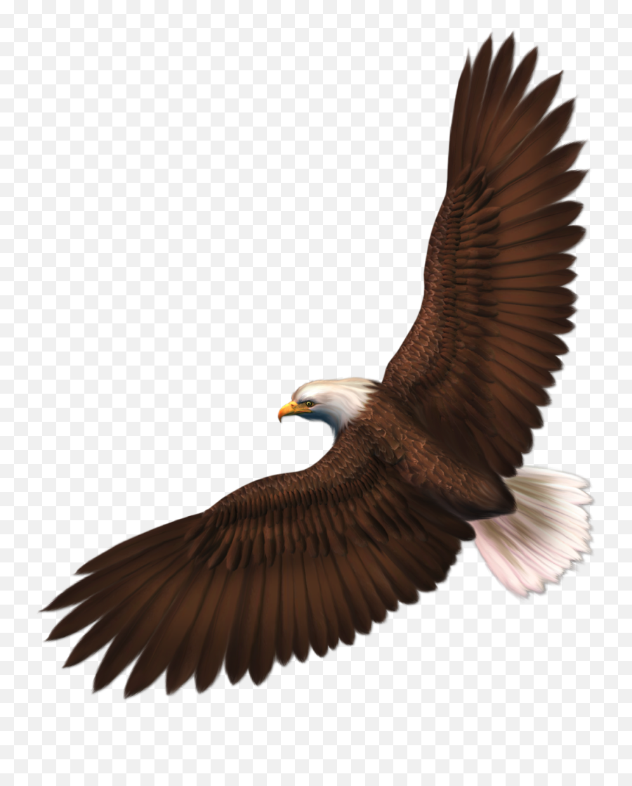 Eagle Png Image With Transparency Free Emoji,Eagle Emoji