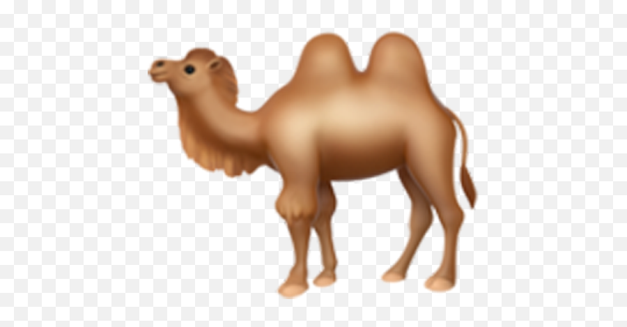Do You Sex Text Here Are Emojis And Its Sexy Meanings - Iphone Camel Emoji,Nude Emoji