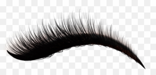 Lashes Eyelashes Makeup Aesthetic Sticker Free Eyeliner - Mascara Emoji,Eyelash Emoji