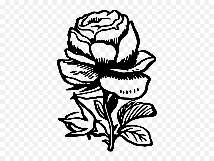 Rose Illustration - Rose Png Clipart Black And White Emoji,Twitter Rose Emoji