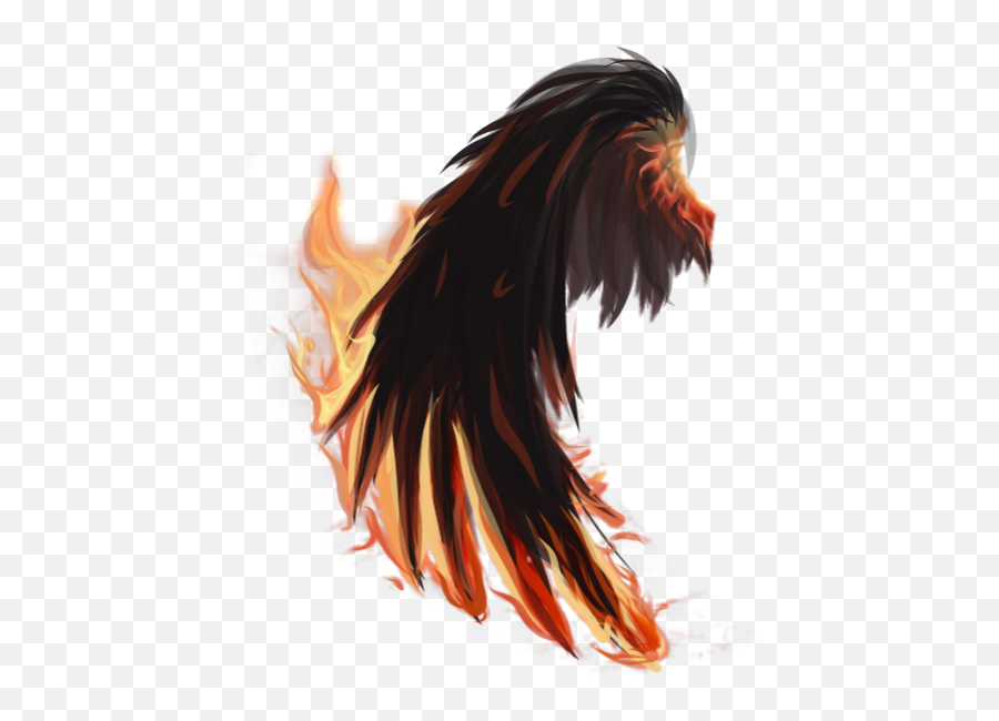 Fire Wings Firewings Tumblr Edit Png - Bird Emoji,Hair On Fire Emoji