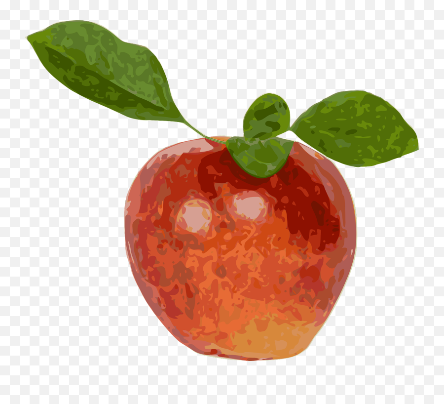 Red Apple Fruit Apple Red Delicious - Apple Emoji,Fire Emoji Apple