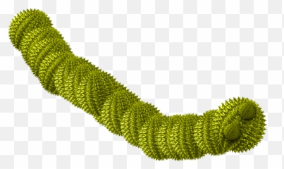 Free Caterpillar Worm Illustrations - Worm Virus Computer Worm Png Emoji,Alligator Emoji