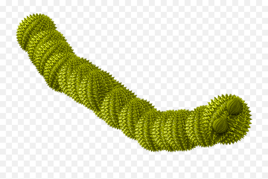 Free Caterpillar Worm Illustrations - Worm Virus Computer Worm Png Emoji,Alligator Emoji
