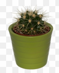 Cactus Plant Isolated - Emoji