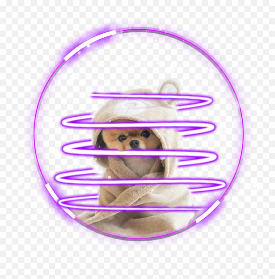 Popular And Trending Jiffpom Stickers On Picsart - Transparent Pink Circle Frame Emoji,Jiffpom Emoji