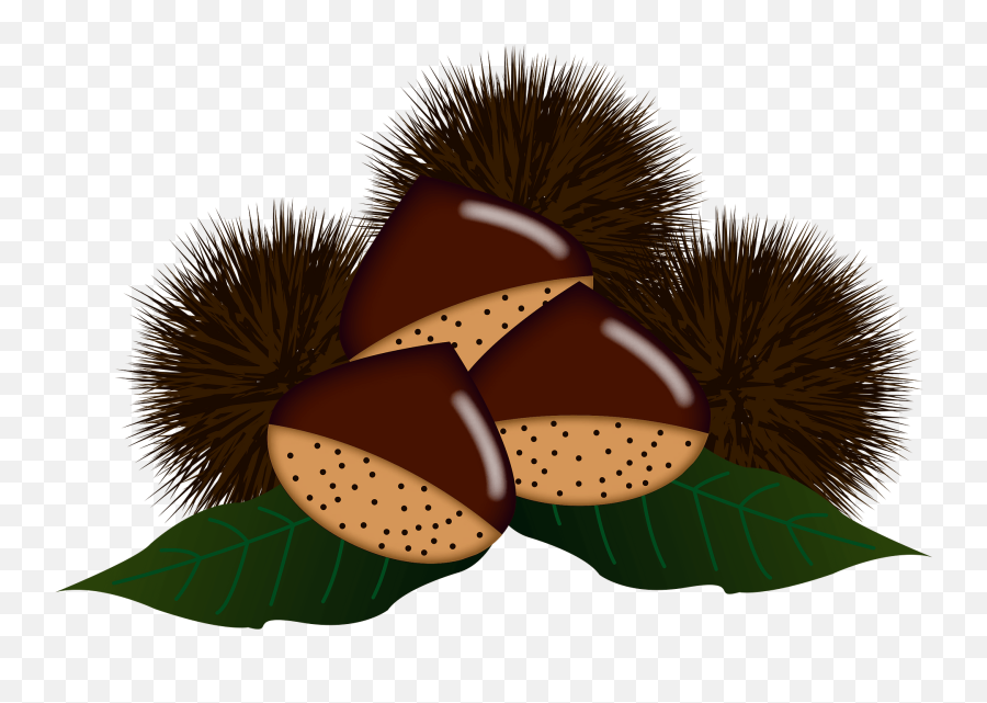 Japanese Chestnuts Clipart Emoji,Hazelnut Emoji