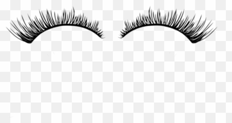 Free Eyelashes Png Transparent Download Free Clip Art Free - False Eyelashes Transparent Background Emoji,Eyelash Emoji